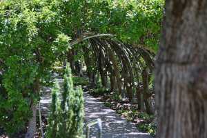 carrick hill 2014 (67)